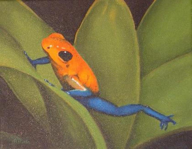 Artist Nicola Lupoli. 'Tree Frog' Artwork Image, Created in 2003, Original Painting Oil. #art #artist