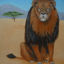 African Lion By Lora Vannoord