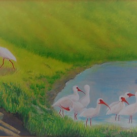 Lora Vannoord: 'Ibis Birds', 2016 Oil Painting, Landscape. Artist Description: Original oil painting of White Ibis birds at a pond in Florida.   I love to watch them run around in a group looking for food.  Includes custom wooden frame.  ...