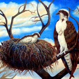 Osprey By Lora Vannoord