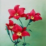 Red Flowers, Lora Vannoord