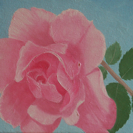 Lora Vannoord: 'The Pink Rose', 2016 Oil Painting, Floral. Artist Description:  Original oil painting of a pink rose on canvas.  It is a wrapped canvas so there is no frame necessary. ...
