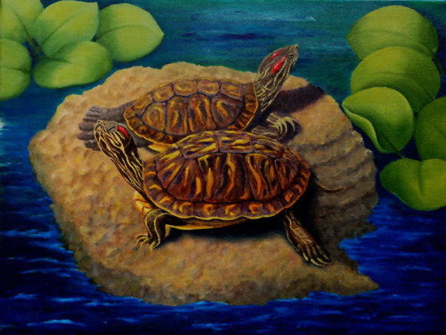 Lora Vannoord  'Turtles', created in 2011, Original Painting Other.