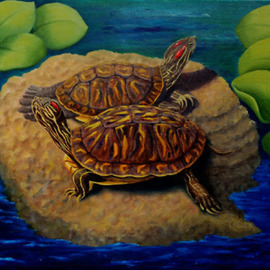 Turtles By Lora Vannoord