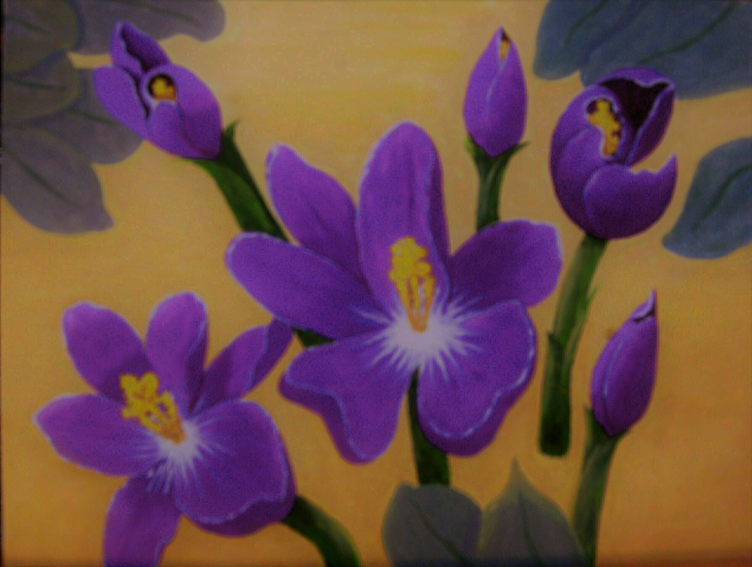 Lora Vannoord: 'crocus flowers', 2019 Oil Painting, Floral. Original oil painting of purple crocus flowers with a very light yellow ochra background that is close to yellow but mellow.  Real wood frame included. ...