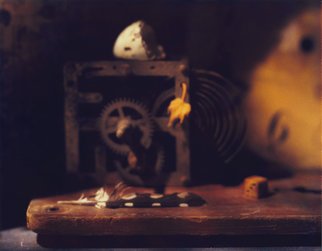 Tina West: 'Conteracting Gravity By Gentle Movement', 2007 Polaroid Photograph, Still Life.       Archival Pigmented Print scanned from Polaroid type 59      ...
