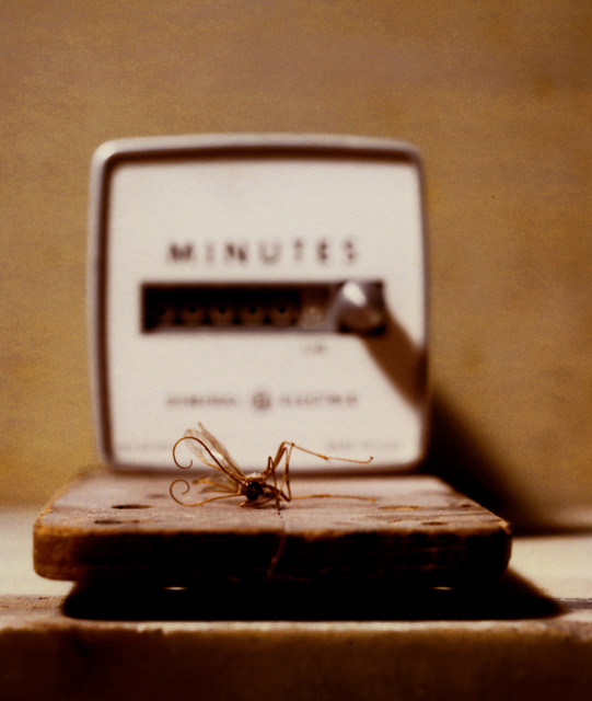 Tina West  'Minutes', created in 2009, Original Photography Polaroid.