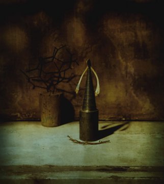 Tina West: 'Taxonomy of Memory', 2009 Polaroid Photograph, Still Life.   Archival Pigmented Print scanned from Polaroid type 59  ...