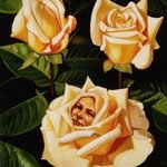 Yellow Roses By Mario Cossu