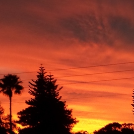 Jerry Schole: 'sun has set orangish', 2020 Color Photograph, Landscape. Artist Description: Another Florida sunset. Electric lines lets you know photo is taken from suburbia. Photo from end of our driveway. Colors of orange, red and deep yellow. ...