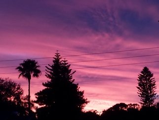 Jerry Schole: 'sun has set pink violet', 2020 Color Photograph, Landscape. Another Florida sunset. Electric lines lets you know photo is taken from suburbia. Photo from end of our driveway. Sunset coloration from Orange has now a coloration of Pink and Violet. No color enhancement to photo. . ...