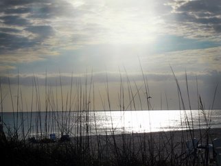 Jerry Schole: 'sunset silver blue', 2019 Color Photograph, Seascape. Sun is nearing time of setting but colors have not shown up yet. Looking through the Sea Oats at waters of the Gulf of Mexico there is just a hint of blush on the horizon, an indication of what may come. But in this moment silver highlights the sea and ...