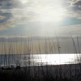 Jerry Schole: 'sunset silver blue', 2019 Color Photograph, Seascape. Artist Description: Sun is nearing time of setting but colors have not shown up yet. Looking through the Sea Oats at waters of the Gulf of Mexico there is just a hint of blush on the horizon, an indication of what may come. But in this moment silver highlights the ...