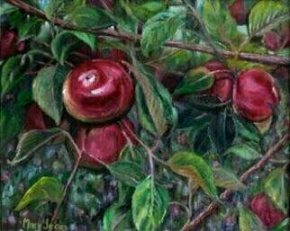Mary Jean Mailloux: 'apple orchard view', 2004 Oil Painting, Botanical. luscious and sweet, colourful and bright who could resist...