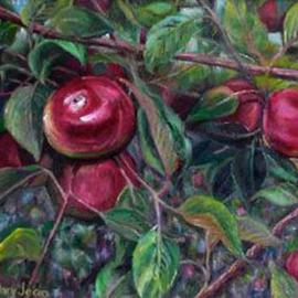 Mary Jean Mailloux: 'apple orchard view', 2004 Oil Painting, Botanical. Artist Description: luscious and sweet, colourful and bright who could resist...