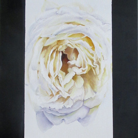 Mary Jean Mailloux: 'le coeur de la rose', 2022 Oil Painting, Conceptual. Artist Description: looking deeply into the heart of a rose and marvelling at the intricacy of delicate unfolding of the petals, inspired this piece. The high contrast of the side panels serve to highlight the fragility and detail contained within...