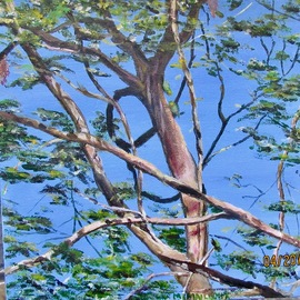 Mary Jean Mailloux: 'summer canopy cr', 2020 Acrylic Painting, Scenic. Artist Description: Inspired by the glorious summer sky and the noisy green parrots camouflaged in the canopy, this little piece almost painted itself. It found a buyer the minute I posted it on the web. But I want you all to see where my art is going. ...