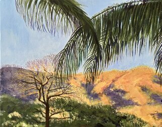 Mary Jean Mailloux: 'tropical sunrise', 2023 Acrylic Painting, Scenic. Catching the morning sun as it hits the trees and hills surrounding Coco Beach in Costa Rica. ...