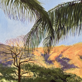 Mary Jean Mailloux: 'tropical sunrise', 2023 Acrylic Painting, Scenic. Artist Description: Catching the morning sun as it hits the trees and hills surrounding Coco Beach in Costa Rica. ...