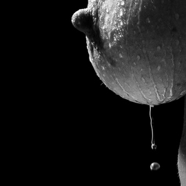 Francis Malapris: 'water drop', 2015 Digital Photograph, nudes. Artist Description:   breast bosom chest boob  water drop wet black and white ...