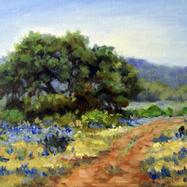 Hill Country Bluebonnets By Barbara A Jones