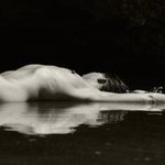 Body reflection By Manolis Tsantakis