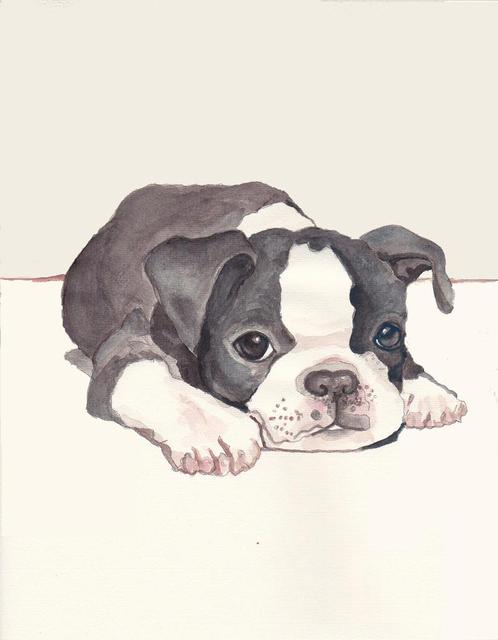 Artist Carolyn Alston Thomas. 'Boston Terrier Pup 2' Artwork Image, Created in 2013, Original Painting Acrylic. #art #artist