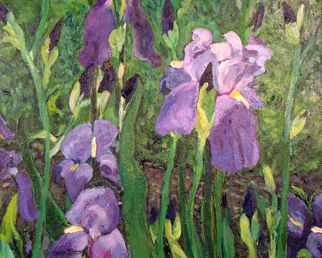 Carolyn Alston Thomas  'Patch Of Iris', created in 2009, Original Painting Acrylic.