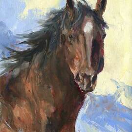 Donny Marincic: 'wyoming wild colt', 2022 Oil Painting, Western. Artist Description: Red Desert Wild Colt...