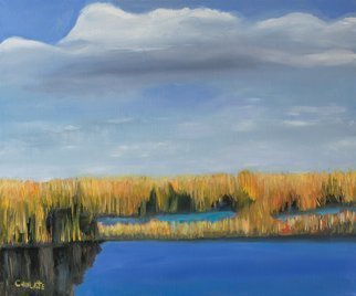 Marino Chanlatte: 'everglades 1', 2019 Oil Painting, Landscape. Everglades landscape series, I am starting this new series in 2019.  Ready to hang.  Nature, Everglades, Florida, Miami, water, sky, blue...