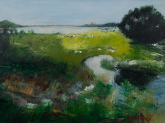 Marino Chanlatte: 'lagoon and marsh', 2008 Oil Painting, Landscape. Landscape inspired in marsh and lagoons. Nature has been my inspiration since I started painting. Some times the ocean, the sky, the beach, lakes, forest, and mountains. lagoon, marsh, landscape, lake, sky, ...