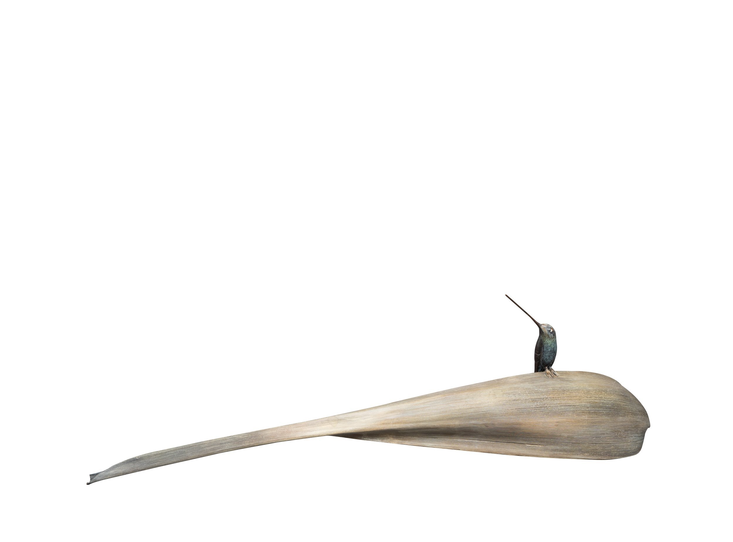 Mark Dedrie: 'Sword colibri', 2019 Bronze Sculpture, Birds. Bronze sculpture of a Colibri on a bronze palm leaf Selected for the 44th edition of Birds In Art at the Leigh Yawkey Woodson Art Museum US.The museum purchased in 2019 one of these exclusive sculptures for its permanent collection. ...