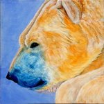 polar bear By Michael Arnold