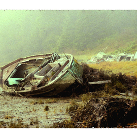Boat Wreck, Mario Tello