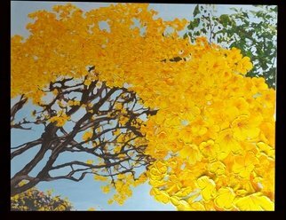 Marty Montez: 'tilaks tree', 2016 Mixed Media, Abstract Landscape. 4 foot x 5 foot heavy acrylic and watercolor. ...