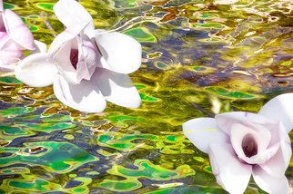 Mary Mansey: 'Reflets aux Magnolias', 2014 Color Photograph, Abstract Landscape.                                               Edition 1 of 1.          Unique Original Edition, Hand- Signed. Each artwork is delivered with its own certificate of authenticity. Archival Pigment Print on Hahnemuhle Baryta Fine Art Paper.                                                                           ...