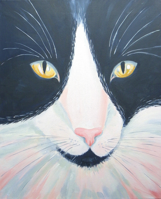 Artist Mary Stubberfield. 'Black And White Cat' Artwork Image, Created in 2017, Original Painting Acrylic. #art #artist