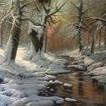 Winter Forest By Maxmilian Ciccone