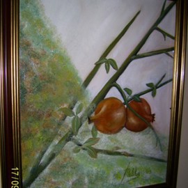 Pomegranate By Meliha Druzic