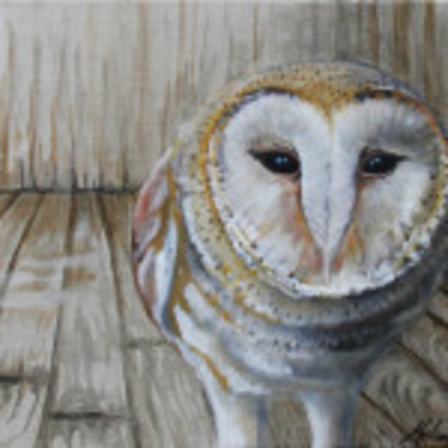 Melissa Burgher  'Barn Owl', created in 2015, Original Painting Oil.