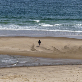 Marcia Geier: 'Solo by the Sea', 2016 Color Photograph, Beach. Artist Description:  digital image printed on aluminumbeach cape cod wellfleet ocean sand surf lonely alone solo seascape white crest  ...