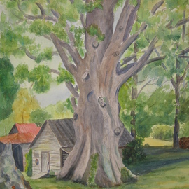 Great Oak By Michael Navascues