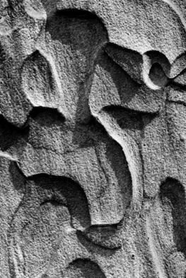 Michael Easton: 'Ponderosa Pine Bark 2', 1999 Black and White Photograph, Abstract. 