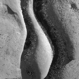 Sandstone, Hornby Island 4, Michael Easton