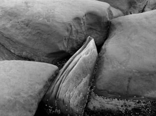 Michael Easton: 'Sandstone, Hornby Island 6', 1994 Black and White Photograph, Abstract Landscape. 