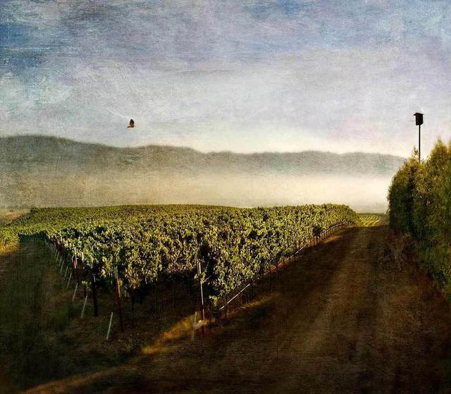 Michael Regnier  'Flying Home, Seco Highlands Estate', created in 2010, Original Photography Other.