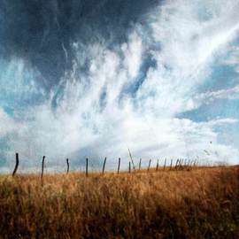 Michael Regnier: 'Kansas Fence Post', 2010 Color Photograph, Landscape. Artist Description:  Kansas, clouds  ...
