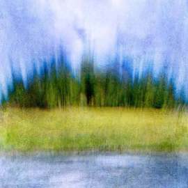 Michael Regnier: 'Shooting Trees', 2010 Color Photograph, Landscape. Artist Description:   landscape       ...