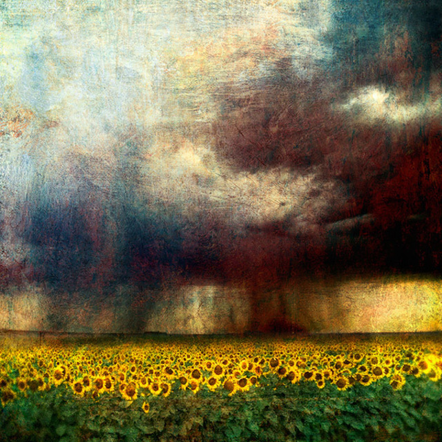 Artist Michael Regnier. 'Sunflower Storm' Artwork Image, Created in 2008, Original Photography Other. #art #artist
