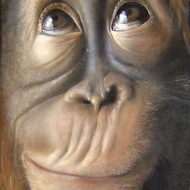 Michelle Iglesias: 'Charles the Monkey', 2011 Oil Painting, Animals. Artist Description:  monkey, animal, chimpanzee, cute, baby, curious, thinking, funny, smart, eyes, realism, mouth, nose, close up, orangutan, brown, gray, life like, living, jungle, creature, red hair, hairy face, face, head, wrinkle, expression, looking up, wide open, young, youth, monkeys, primate, rogue, mischievous, zoo, ape, rascal, big nose, big mouth, ...